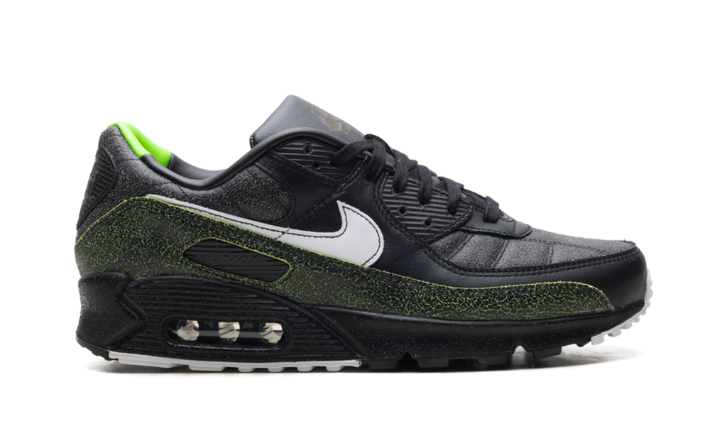 Air Max 90 "Tiempo 2005" IU0523 010