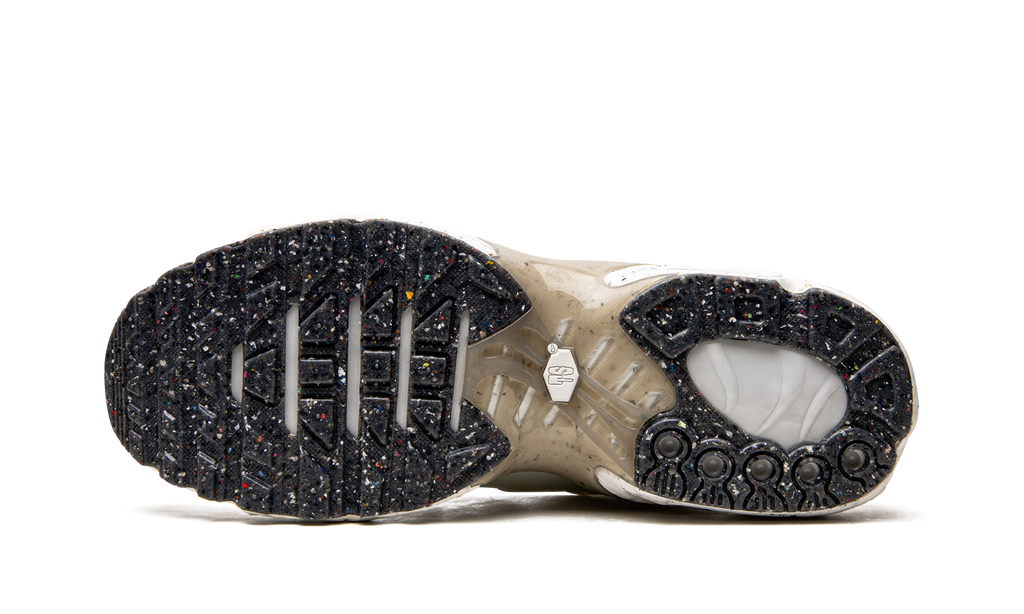 Air Max Terrascape Plus DN4590 100