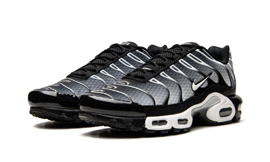 Air Max Plus "Black / Silver" DM0032 003