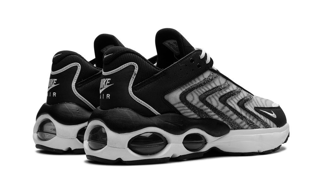 Air Max TW "Black White" DQ3984 001