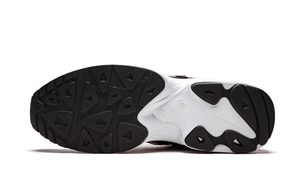 Air Max2 Light QS "ATMOS LOGOS ALTERNATIVE" CI5590 001