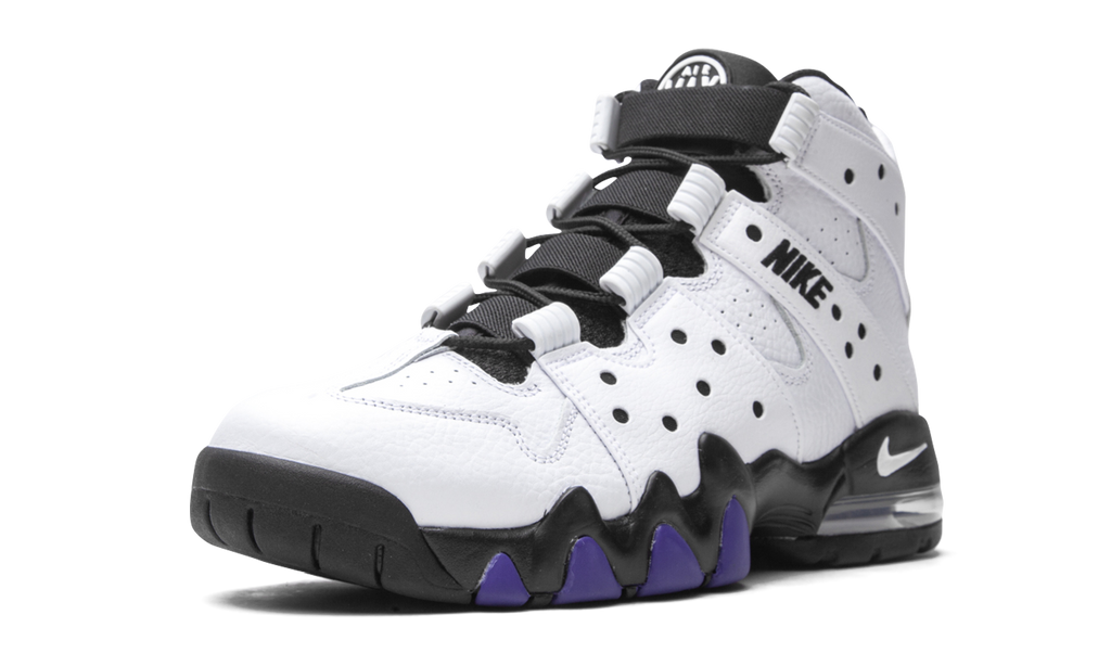 Air Max2 CB '94 "White / Varsity Purple" DD8557 100