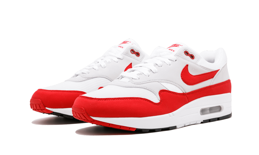 Air Max 1 Anniversary "Anniversary" 908375 103