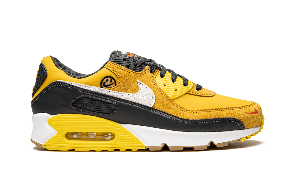 Air Max 90 "Go The Extra Smile" DO5848 700
