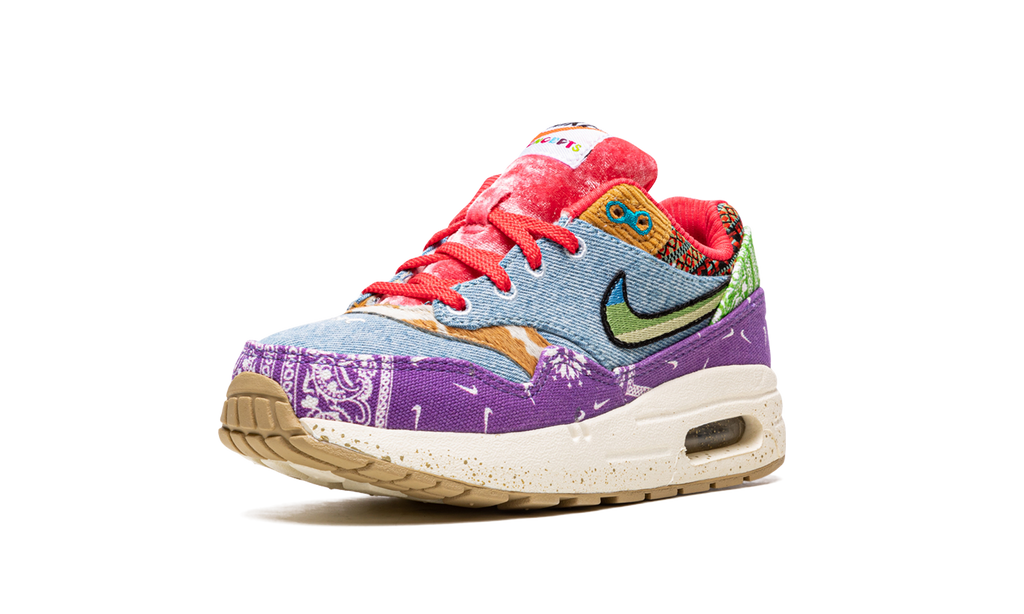 Air Max 1 PS "Concepts Far Out" DR2362 100