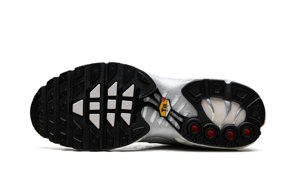 Air Max Plus WMNS "Light Silver" FV8480 002