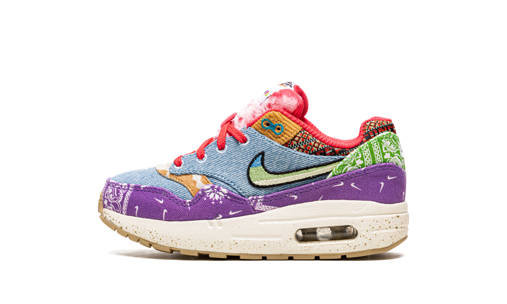 Air Max 1 PS "Concepts Far Out" DR2362 100