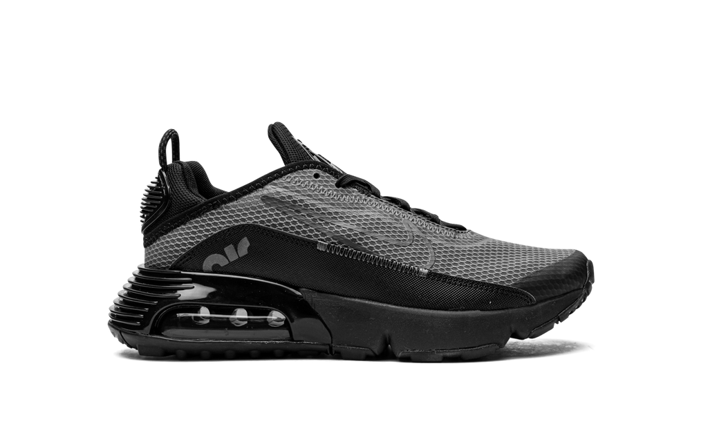Air Max 2090(GS) "Black Wolf Grey" CJ4066 001