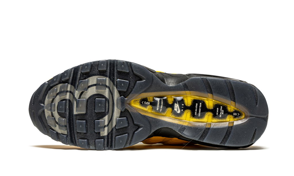 Air Max 95 NRG "Lakers - Lebron" CZ3624 001