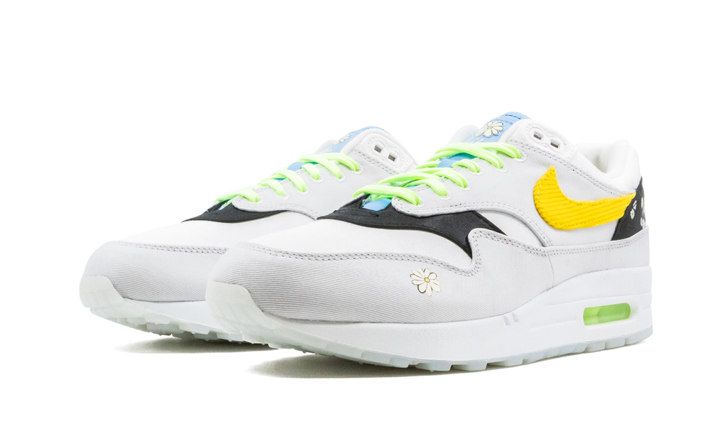 Air Max 1 "Daisy Pack" CW6031 100