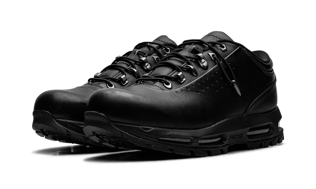 Air Max Goadome Low SP "Black Metallic Silver Pale Citron" IR2173 001