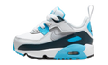 Air Max 90 EasyOn "White Baltic Blue Armory Navy Wolf Grey" HF6359 100