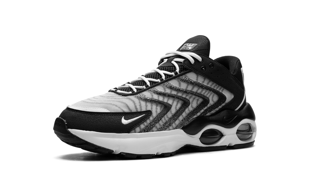 Air Max TW "Black White" DQ3984 001