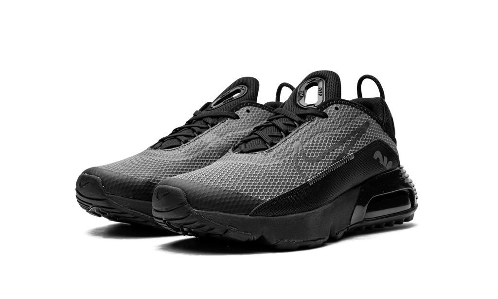 Air Max 2090(GS) "Black Wolf Grey" CJ4066 001