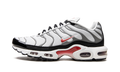 Air Max Plus "Photon Dust / Varsity Red" DM0032 002