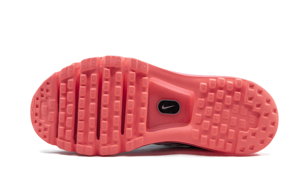 AIR MAX 2017 MNS WMNS "Platinum" 849560 007