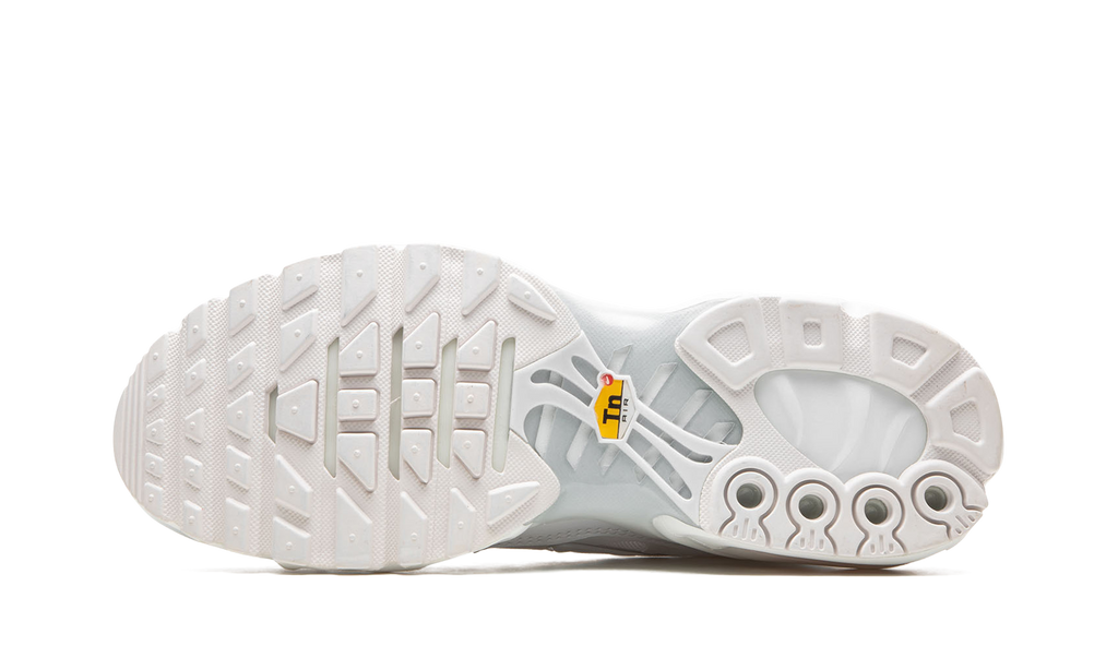 AIR MAX PLUS WMNS "Pure Platinum" DM2362 100