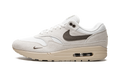 Air Max 1 "Sail Ironstone" DZ4494 100