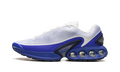 Air Max Dn "White / Racer Blue" DV3337 102