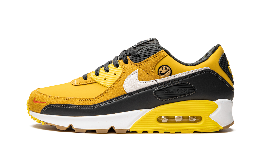 Air Max 90 "Go The Extra Smile" DO5848 700