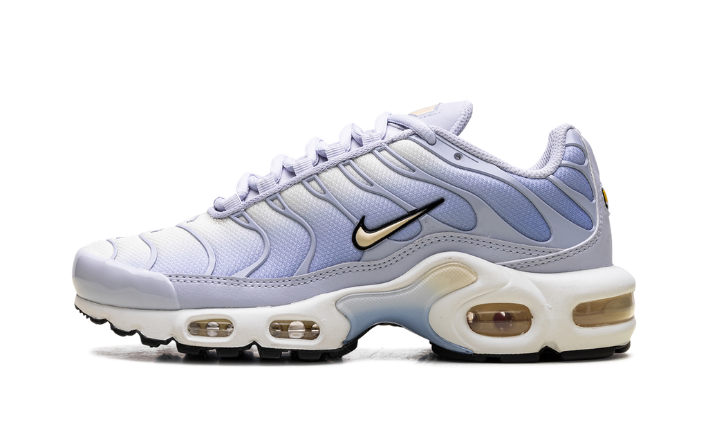 Air Max Plus WMNS "Daybreak" DZ3670 004