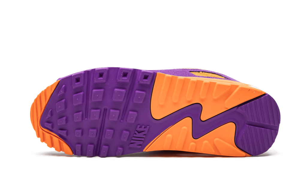 Air Max 90 "Viotech" CD0917 600