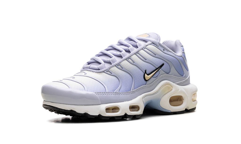 Air Max Plus WMNS "Daybreak" DZ3670 004