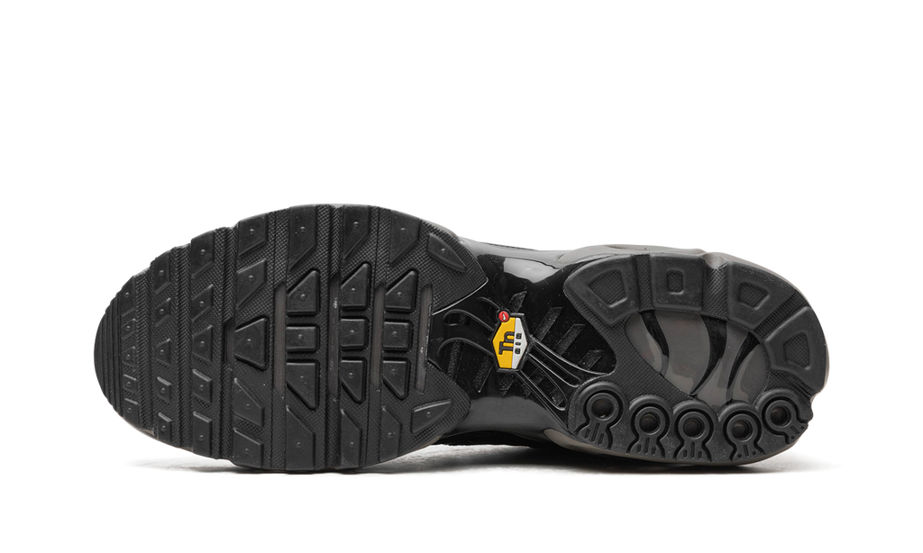 Air Max Plus "Black Tea / Petra Brown" "Black Tea / Petra Brown" HJ4519 200