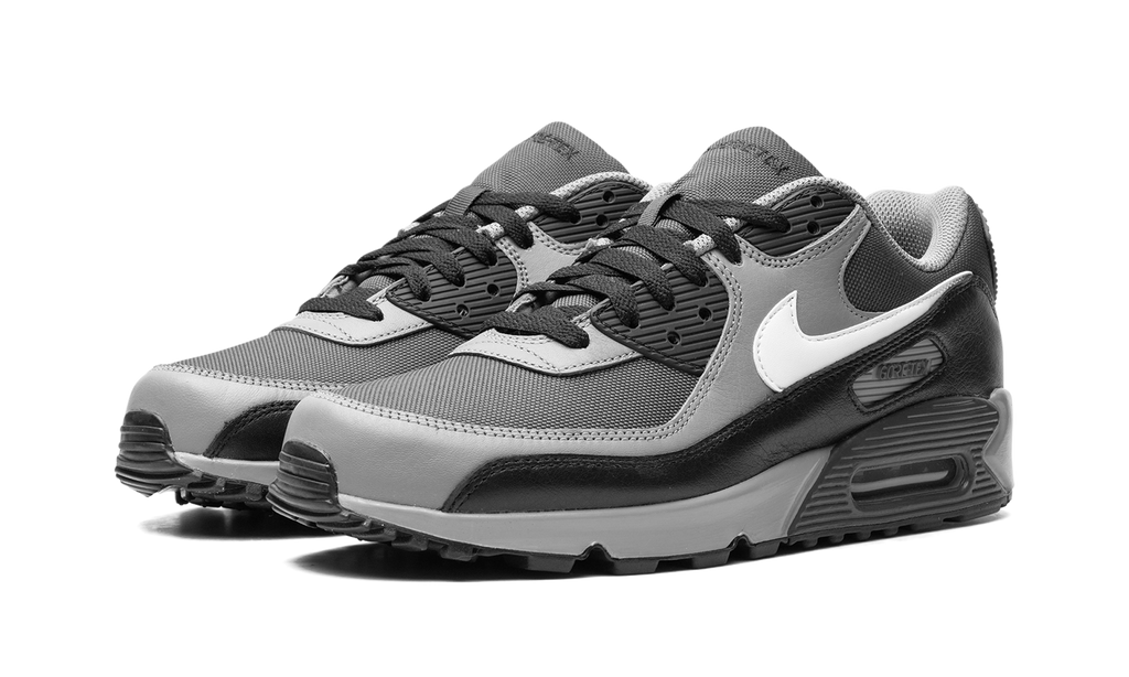 Air Max 90 GORE-TEX "Dark Smoke Grey" FD5810 002
