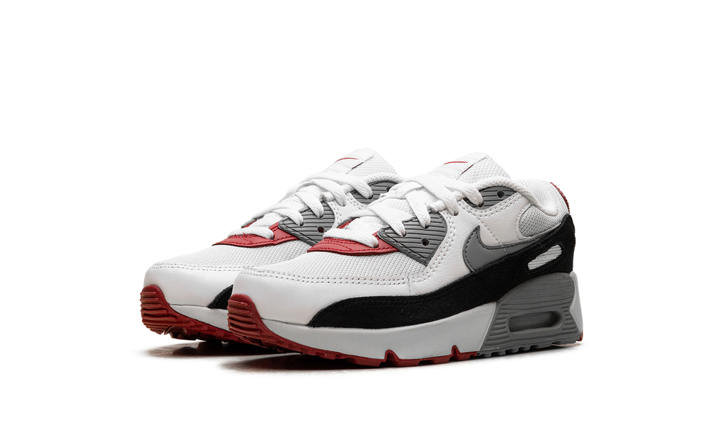 Air Max 90 PS "Photon Dust Grey" CD6867 019