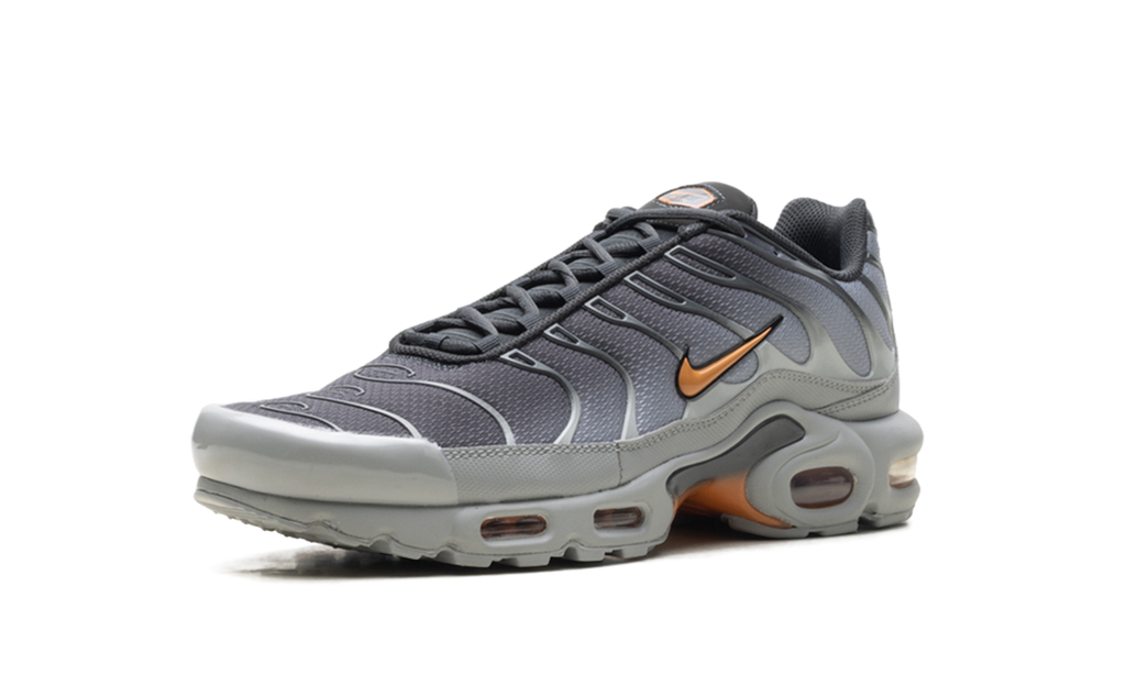Air Max Plus "Light Smoke Grey Hot Curry" DM0032 037