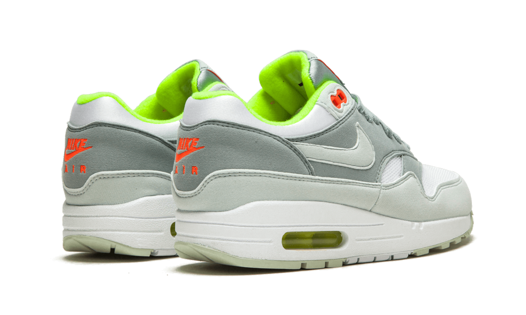 AIR MAX 1 WMNS "Barely Grey / Pumice" 319986 107
