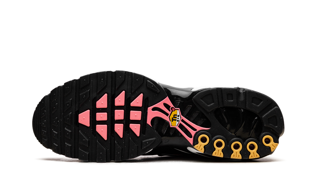 Air Max Plus "All Day" HF3837 600