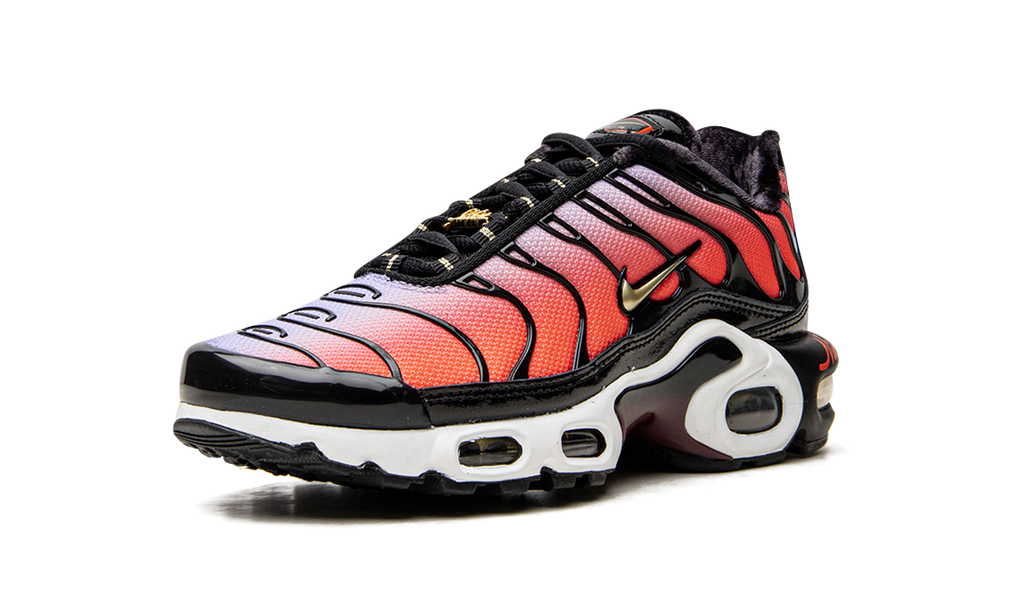 AIR MAX PLUS MNS WMNS "Sisterhood" DO6115 500