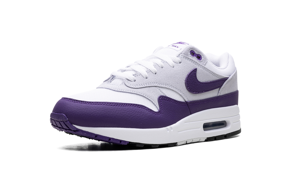 Air Max 1 SC "Field Purple" DZ4549 101