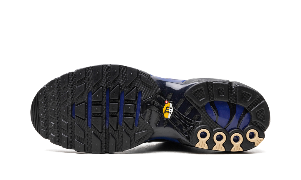 AIR MAX PLUS "Black" FQ7331-001