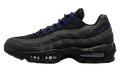 Air Max 95 "Jewel Black Deep Royal" FQ1235 001