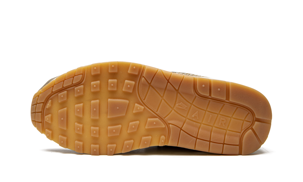 Air Max 1 Premium "Wabi-sabi" DQ8656 133