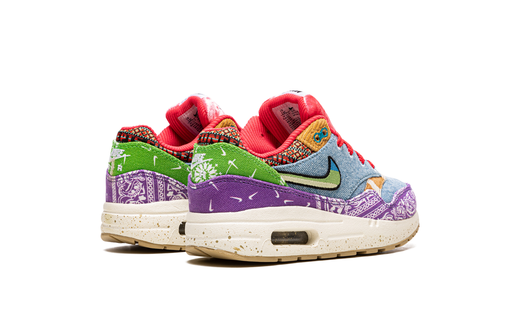 Air Max 1 PS "Concepts Far Out" DR2362 100