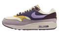 Air Max 1 WMNS "Dark Raisin Hydrangeas" HQ4051 500