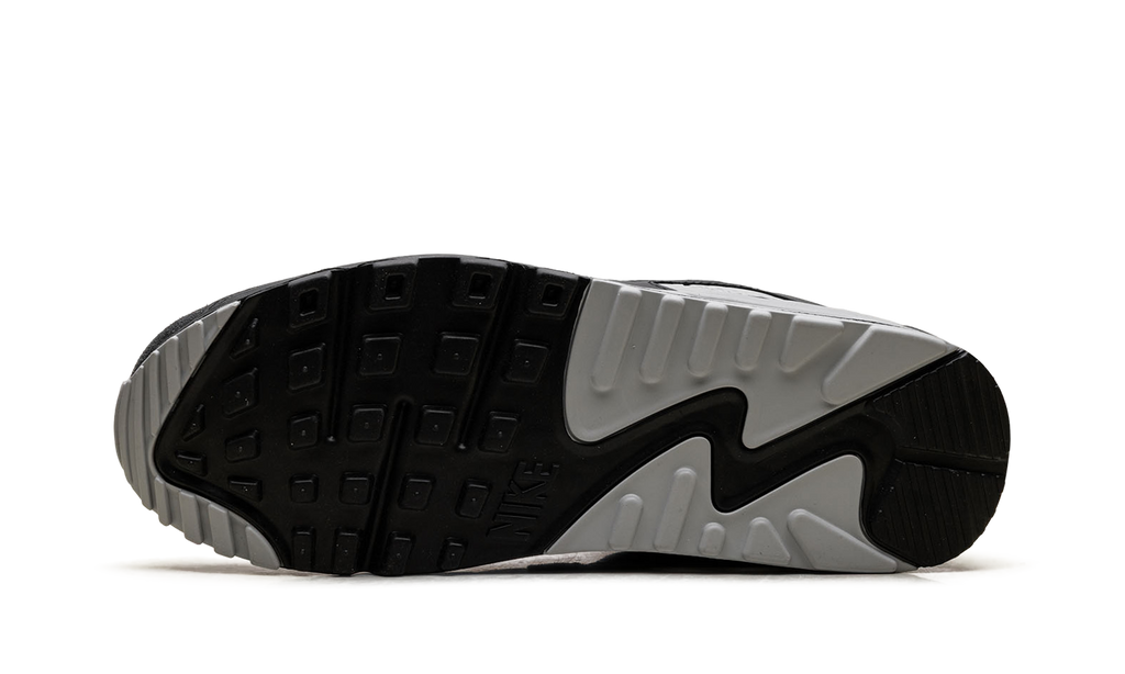Air Max 90 "Smoke Grey / Black" DM0029 020
