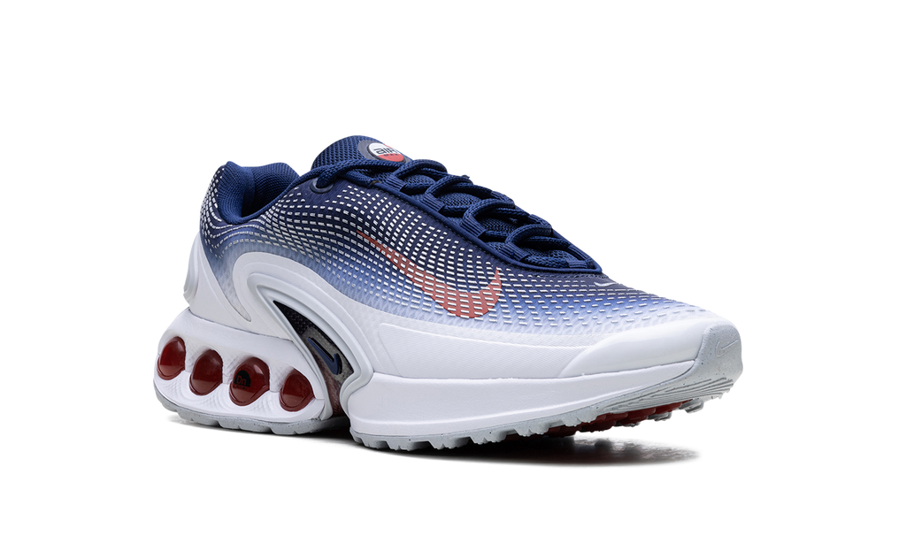 Air Max Dn "Team USA" FV2250 100