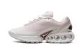 Air Max Dn "Light Orewood Brown" FJ3145 101