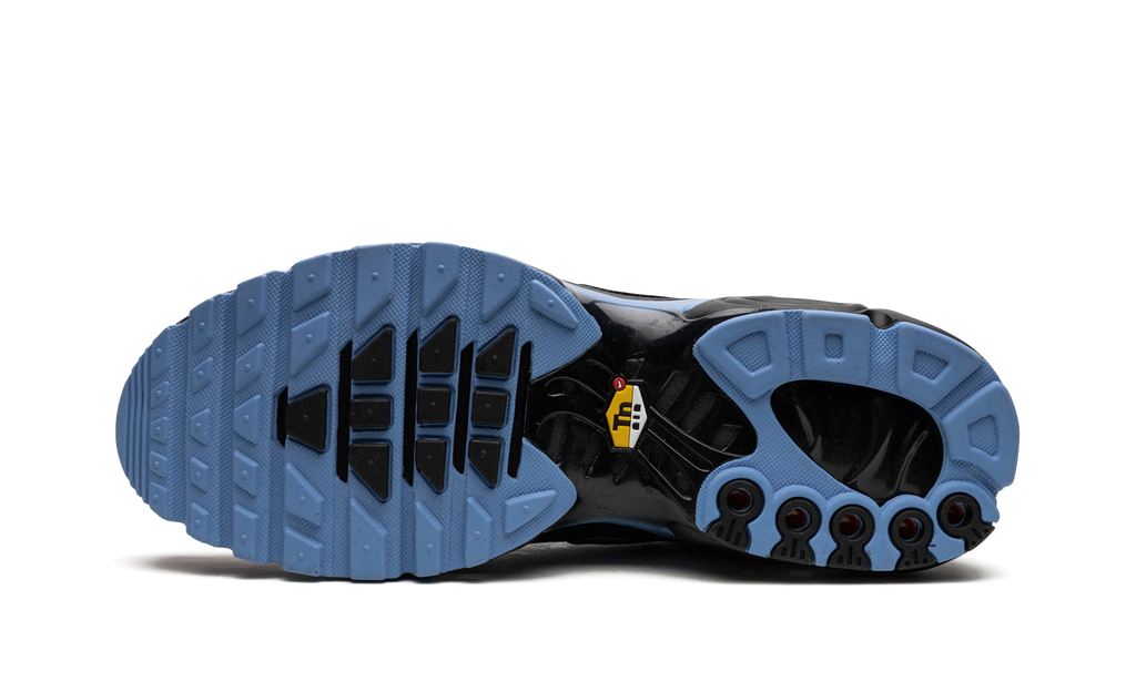 Air Max Plus "Black / University Blue" DM0032 005