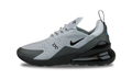 Air Max 270 "Wolf Grey Blue" FD9747 001