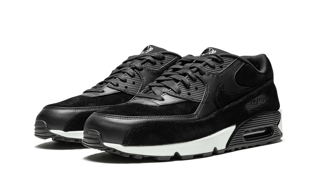Air Max 90 Premium "Rebel Skulls" 700155 009