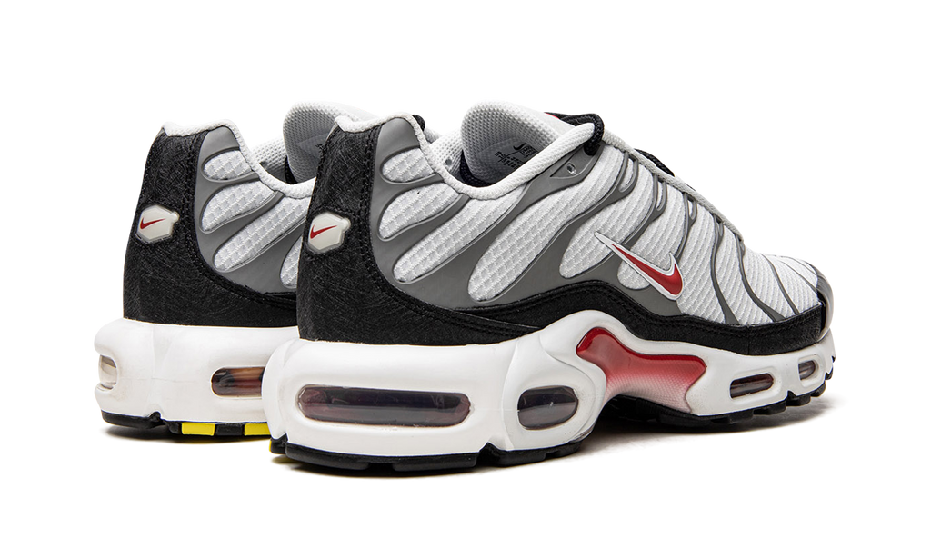 Air Max Plus "Photon Dust / Varsity Red" DM0032 002