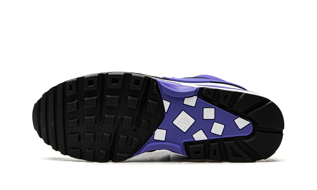 Air Max BW OG "Persian Violet (2021)" DJ6124 001