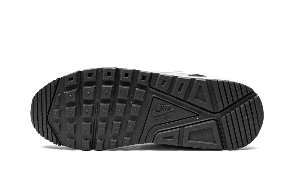 Air Max Correlate "Pure Platinum" 511416 010