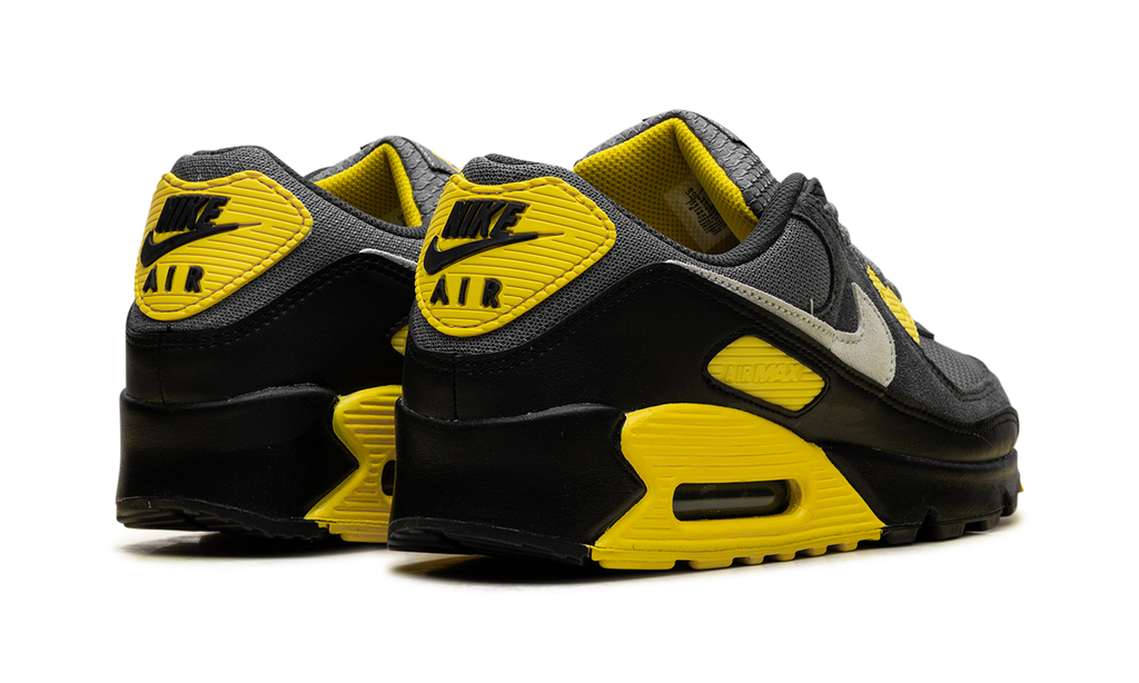 Air Max 90 "Smoke Grey Lightning" DM0029 016